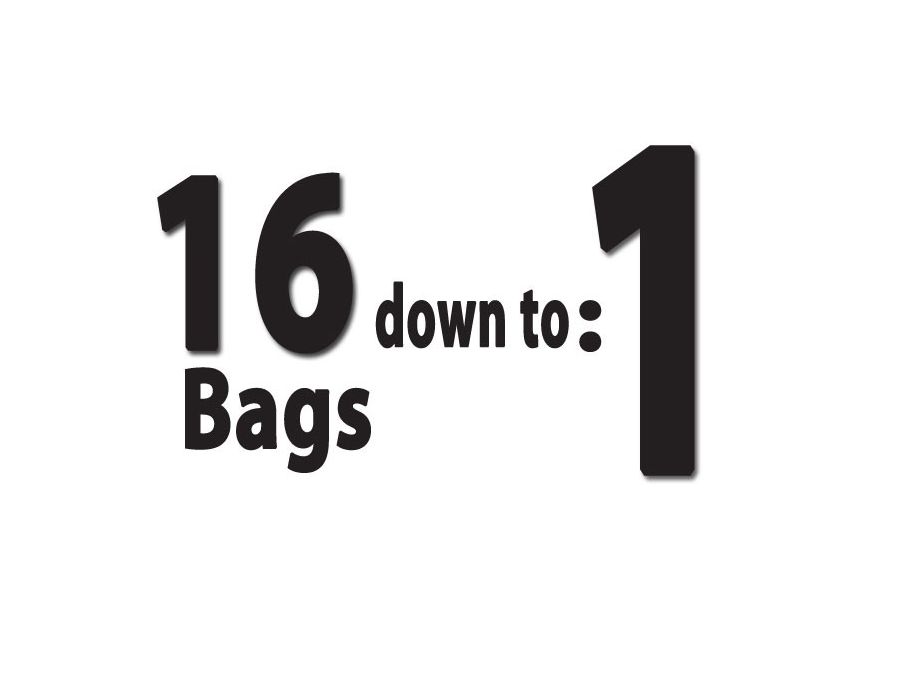 Reduce your yard waste from 16 bags down to 1!